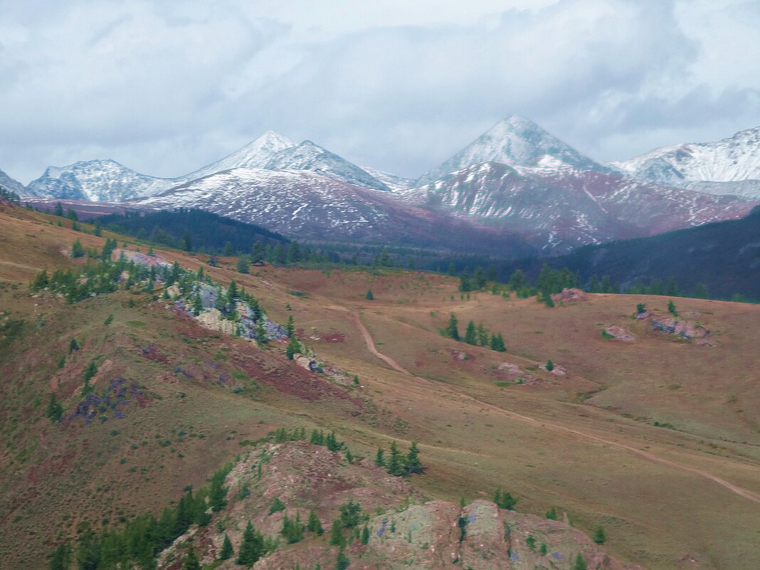 Природа Горного Алтая - Лидия Бусурина