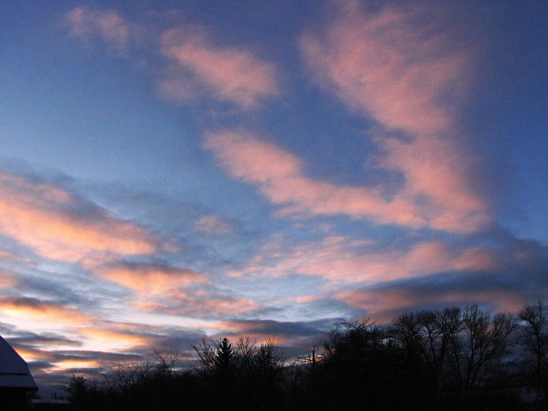 Февральским утром - Людмила Смородинская Февральским утром - Людмила Смородинская