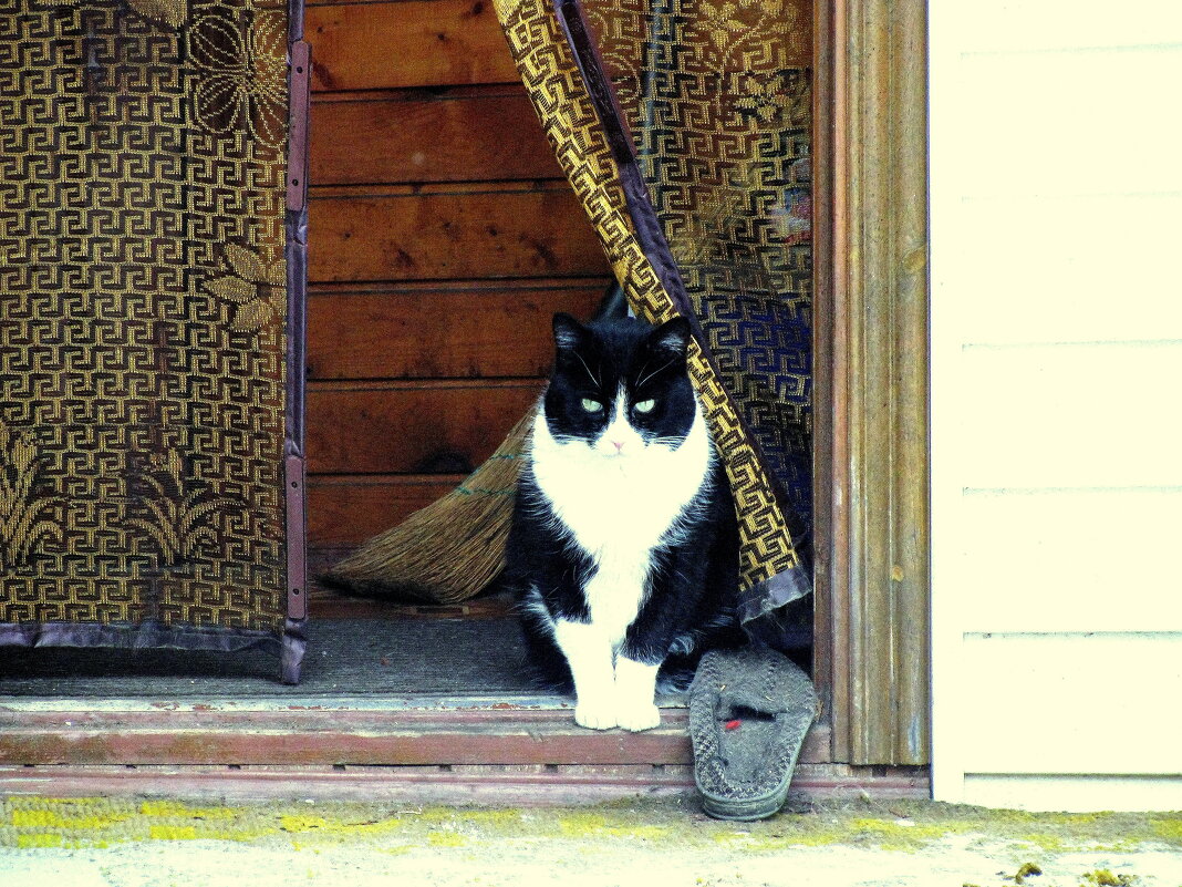 Изучает погоду - Людмила Смородинская Изучает погоду - Людмила Смородинская