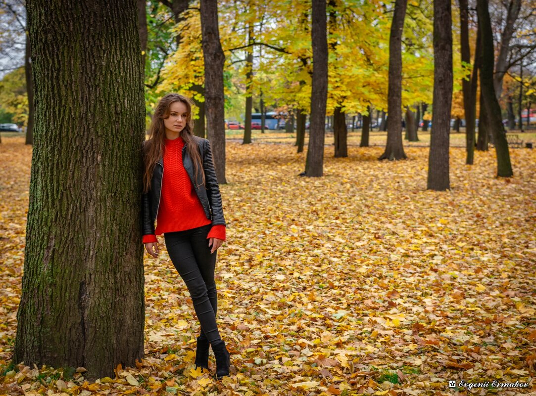 Осеннее одиночество - Евгений Ермаков Осеннее одиночество - Евгений Ермаков