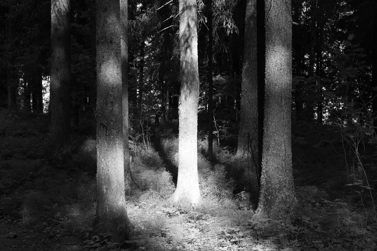 Название отсутствует - Денис Безногов Название отсутствует - Денис Безногов