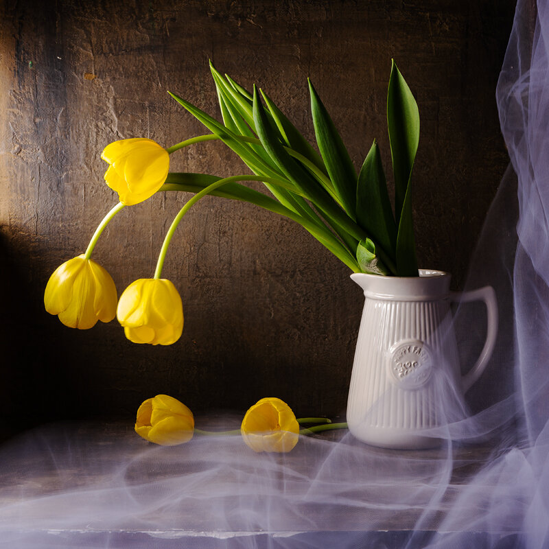 скоро весна - Алексей Чигвинцев