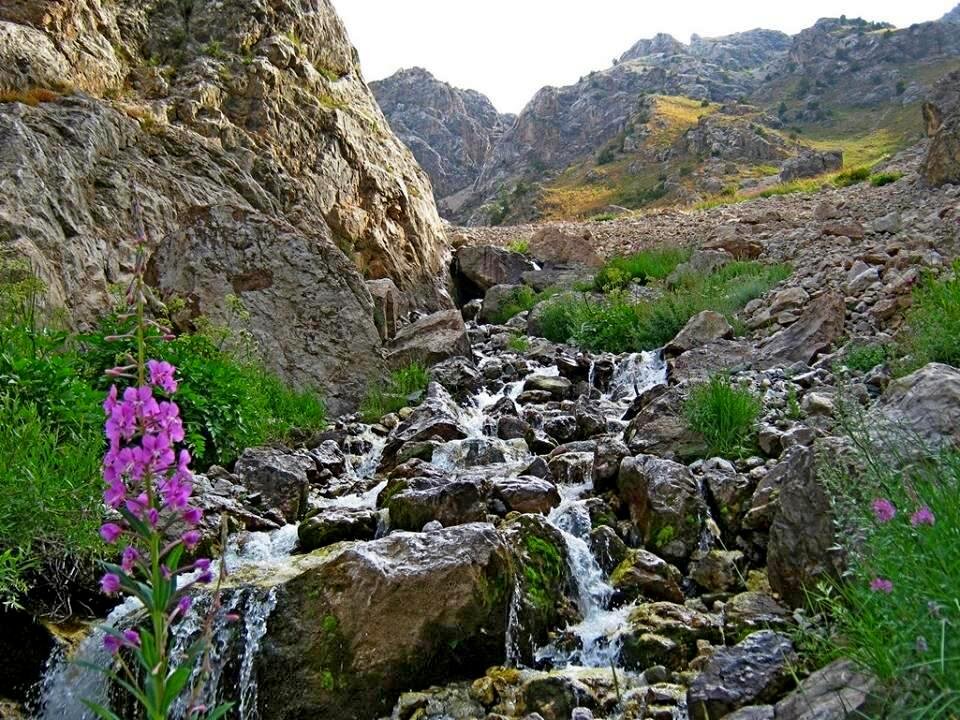 ГОРНАЯ ПРОГУЛКА. - Виктор Осипчук