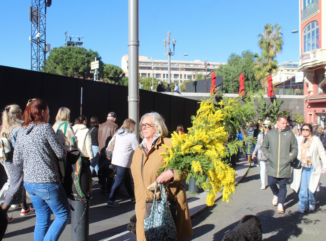 праздник Мимозы - Светлана Баталий