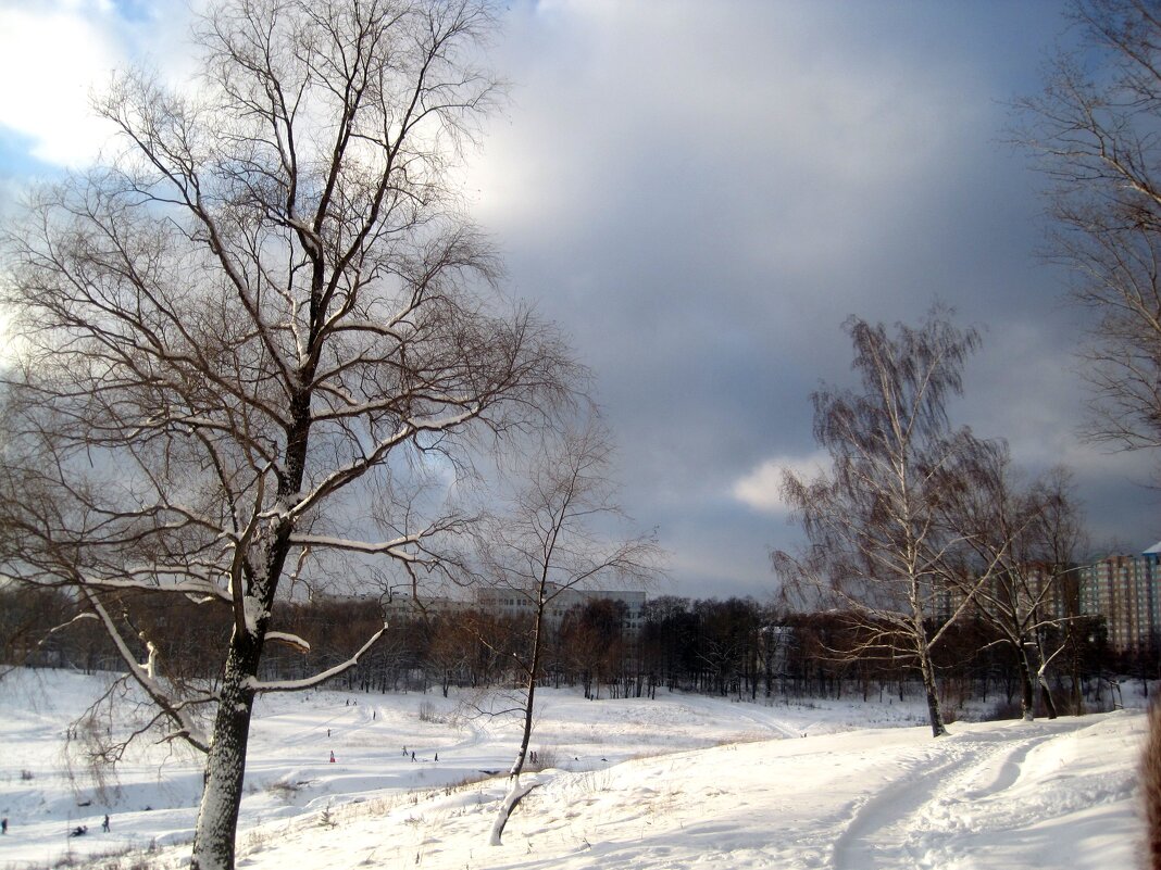 Зимним днем - Елена Семигина Зимним днем - Елена Семигина