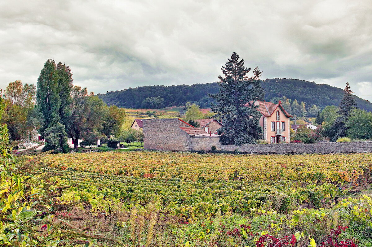 Где-то в Бургундии - Sergey Grim Где-то в Бургундии - Sergey Grim