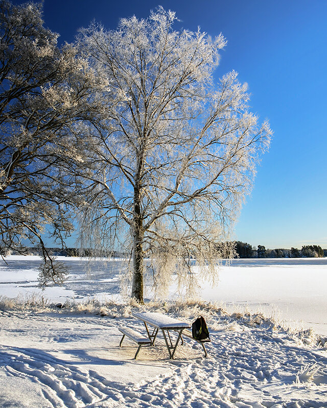 Перед посиделками - Alexandеr P