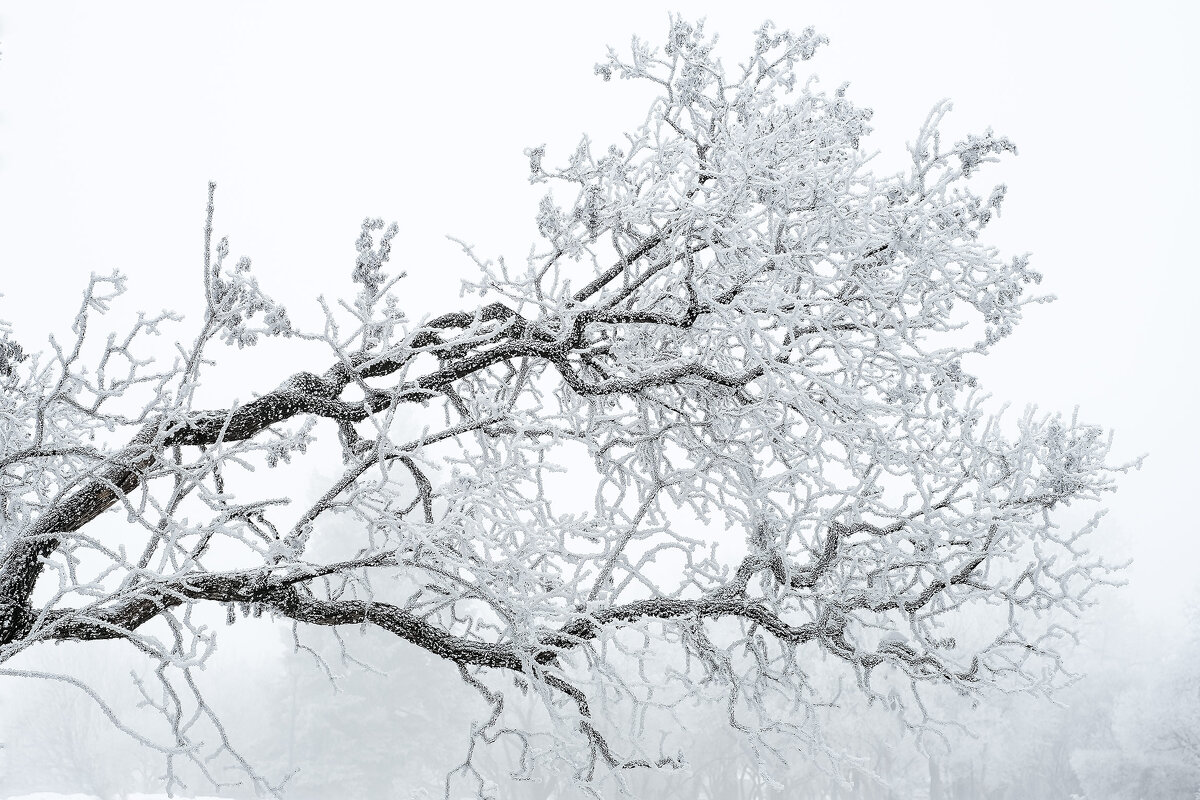 Иней... - Влад Никишин