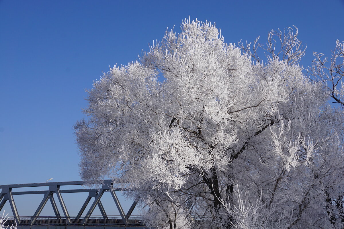 У моста - Наталия Григорьева У моста - Наталия Григорьева