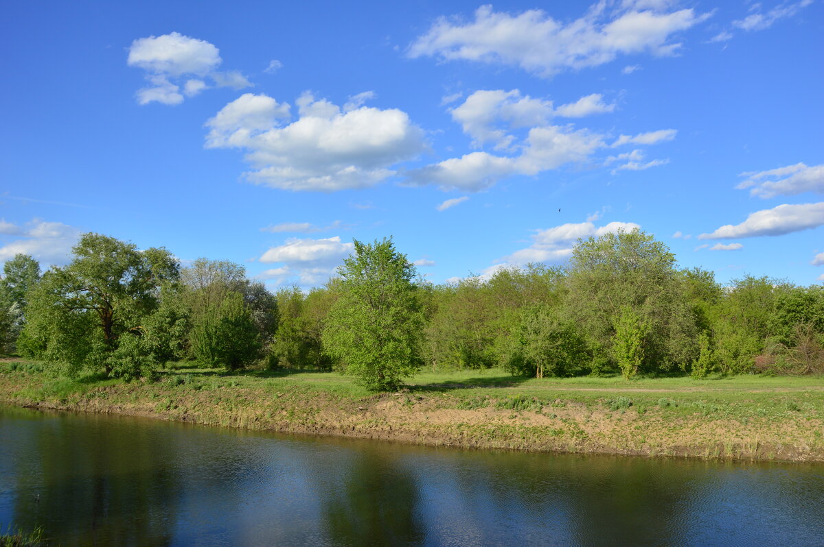 Тишина. - Виктор 