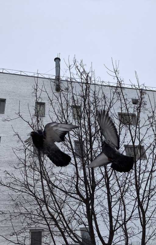 Весна прекрасна - Nadezhda Philatova