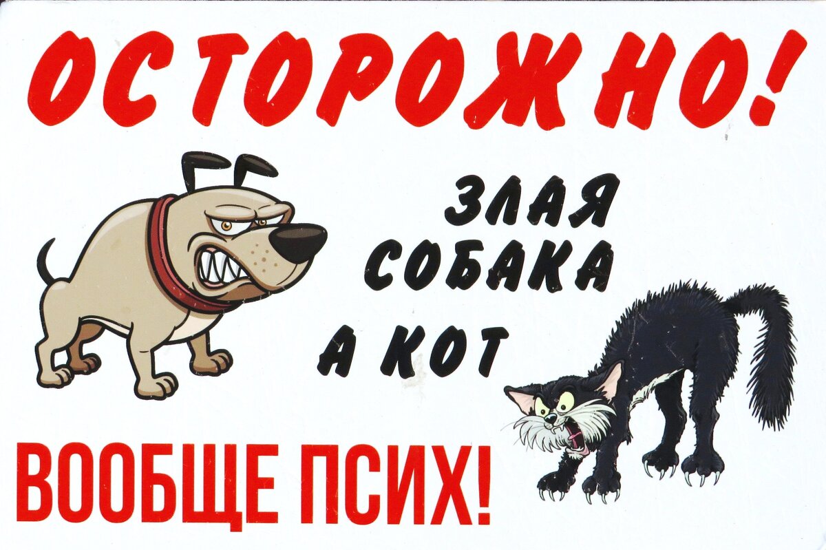 Такие вот питомцы! - Андрей Снегерёв Такие вот питомцы! - Андрей Снегерёв