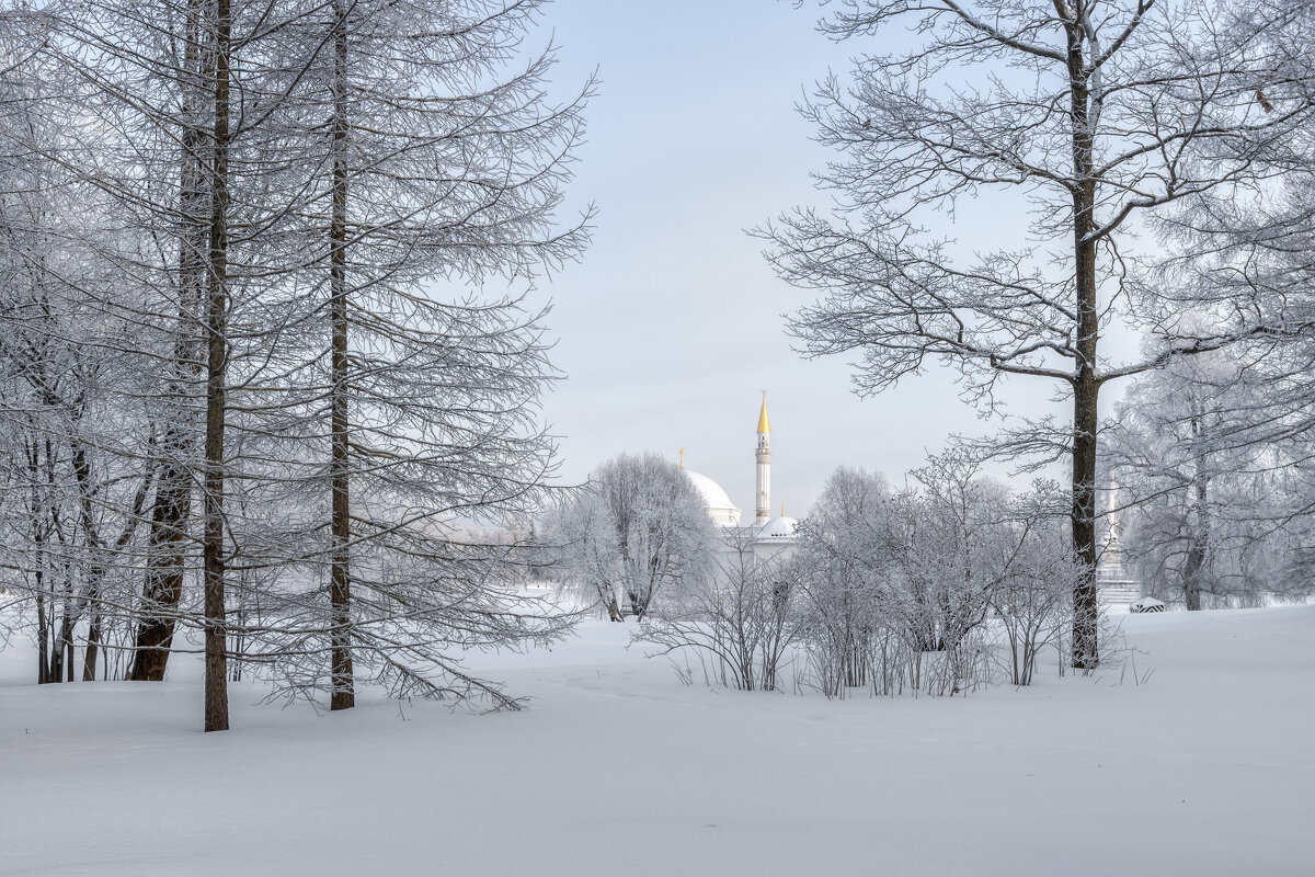 Про Питер - Владимир Колесников