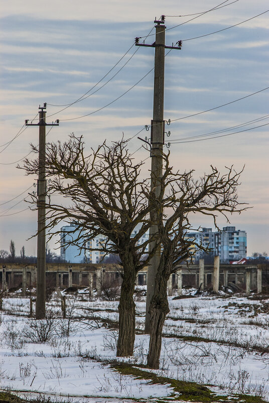 Вечерний Тирасполь - Коля Лукашов