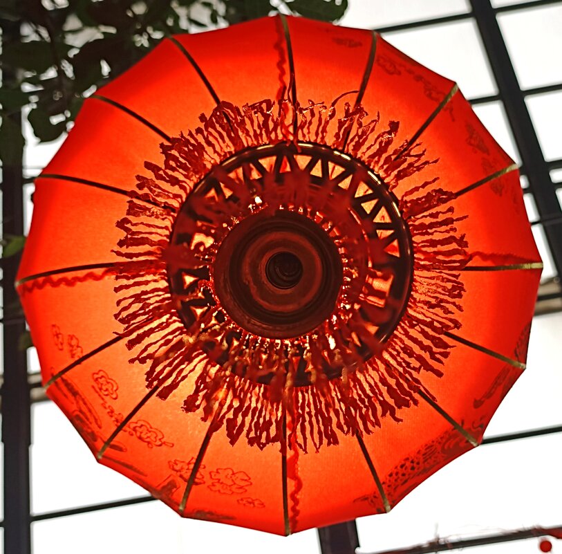 Китайский Новый Год - Pippa Китайский Новый Год - Pippa