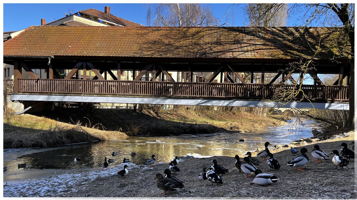 Пришла весна! Журчат ручьи, Светлеет небосвод, И дарит таинство любви, Которое несёт. - "The Natural World" Александер