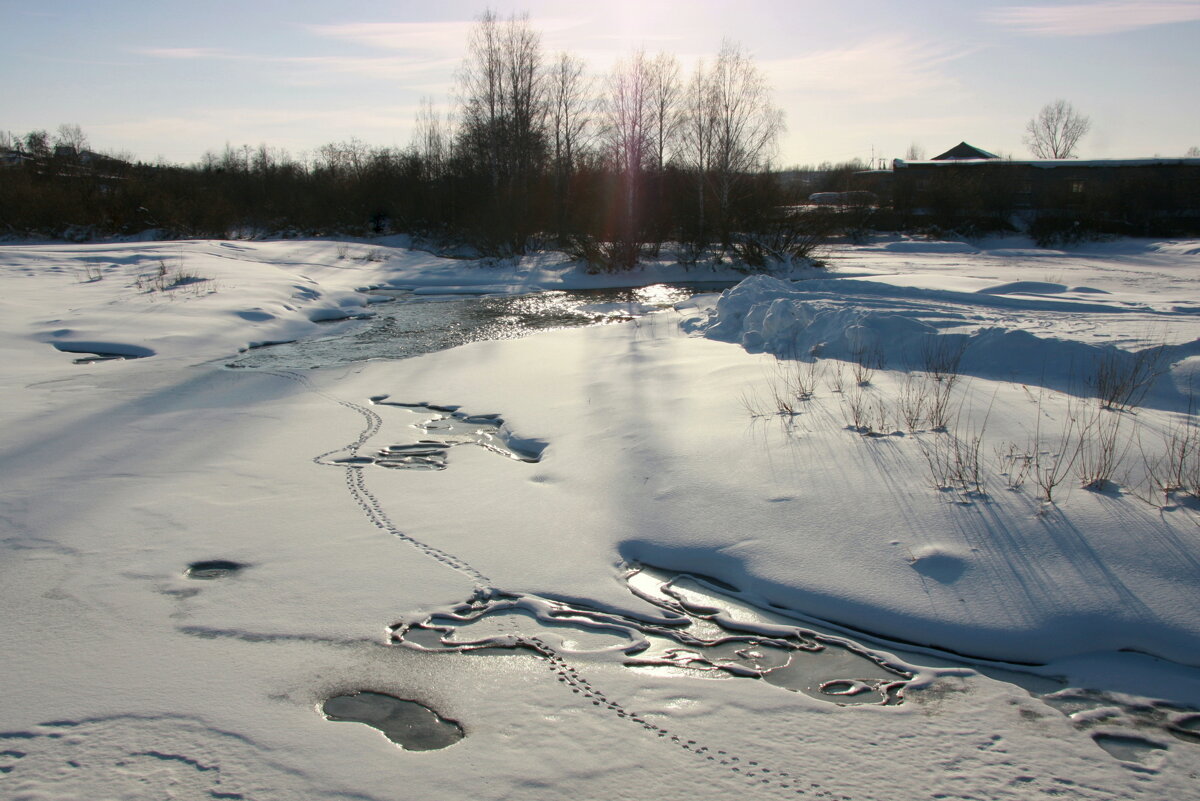 Февральский пейзаж - Нэля Лысенко