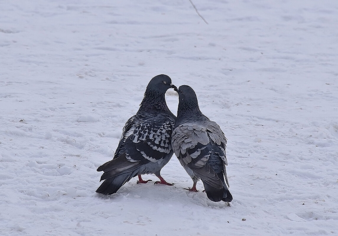 Пахнет... весной! - Валентина  Нефёдова 