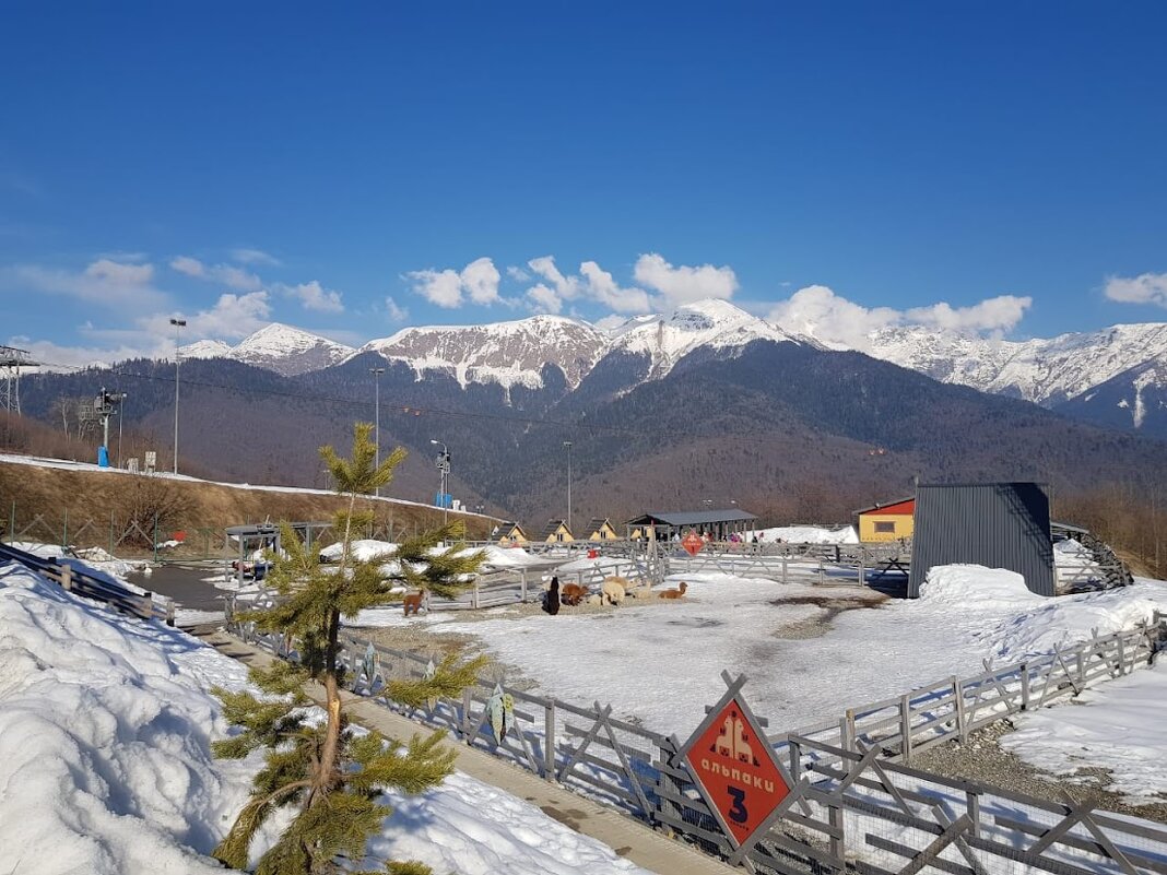 Парк АЛЬПАК. Роза хутор - Tata Wolf