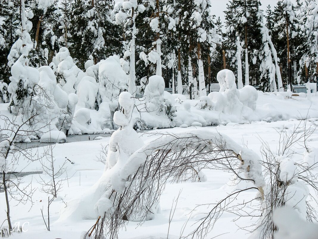 Кудесница зима - Любовь Сахарова