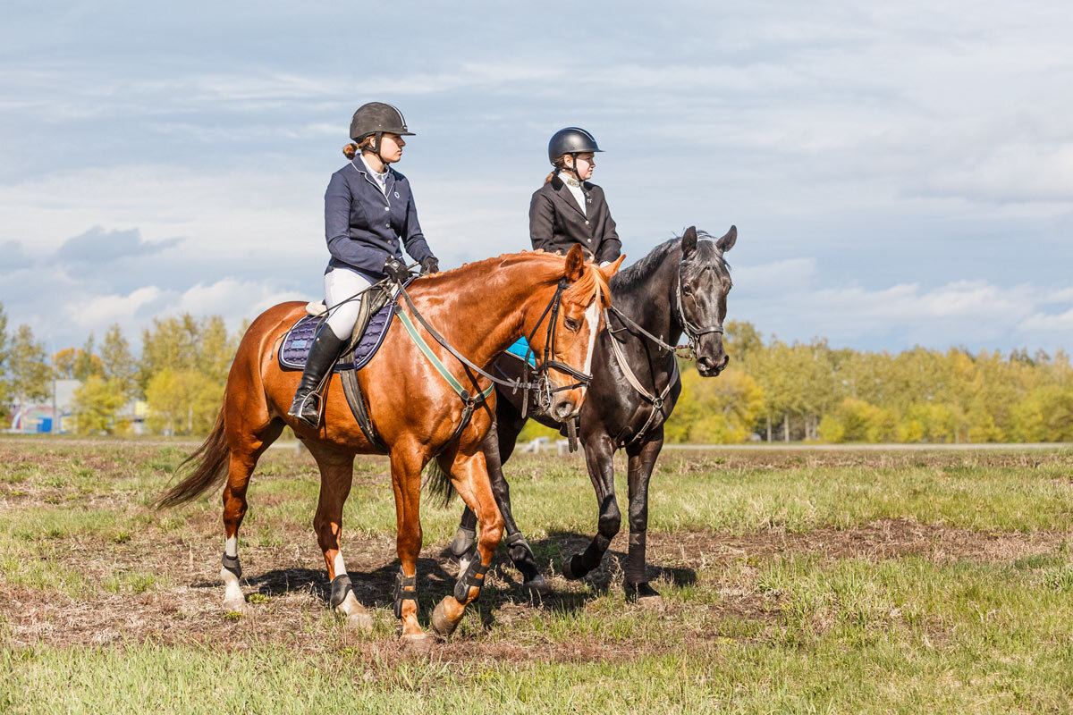 Всадники - SanSan 