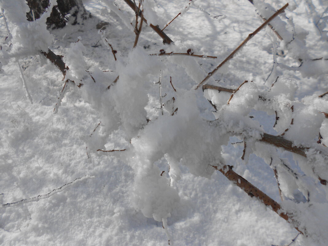 февраль - Елена Шаламова
