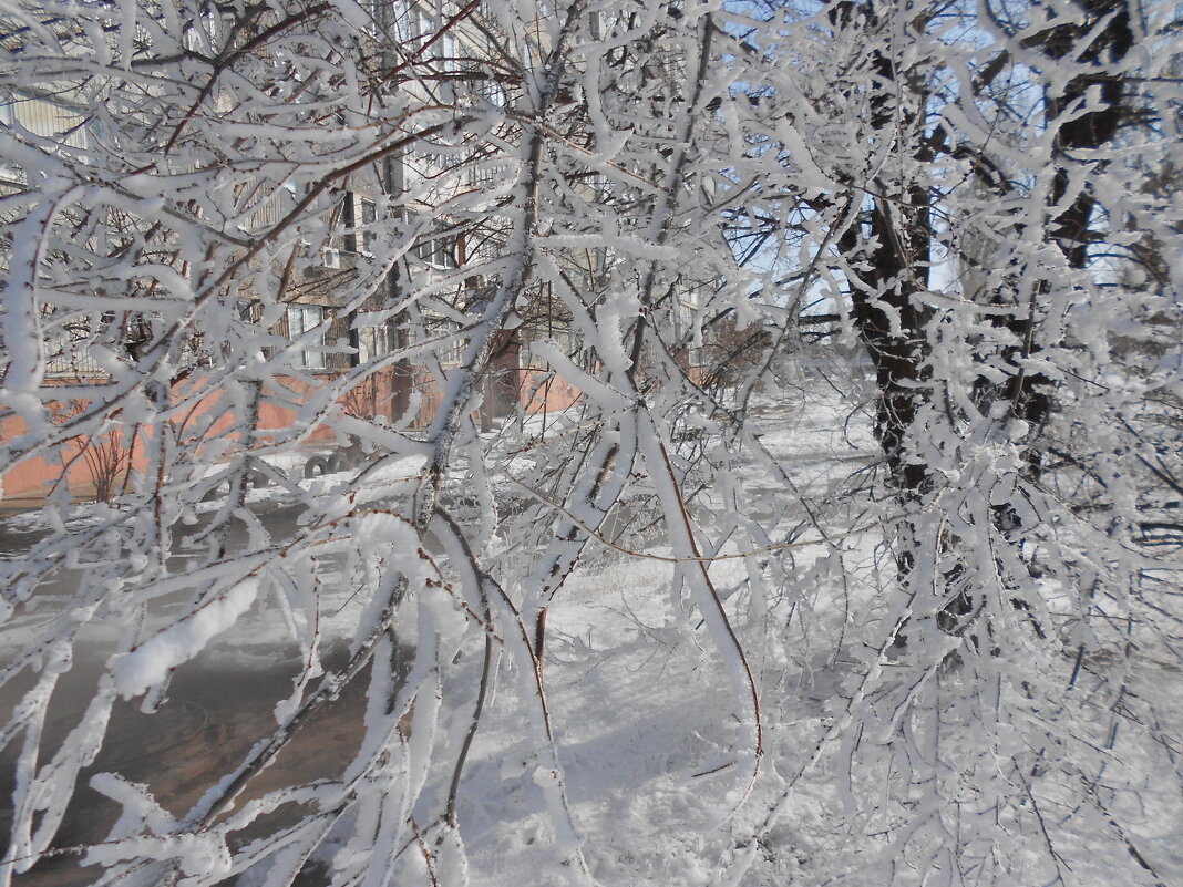 февраль - Елена Шаламова февраль - Елена Шаламова