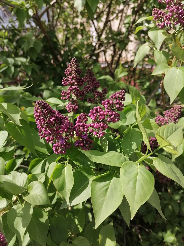 ,,, - Сергей Тимоновский ,,, - Сергей Тимоновский