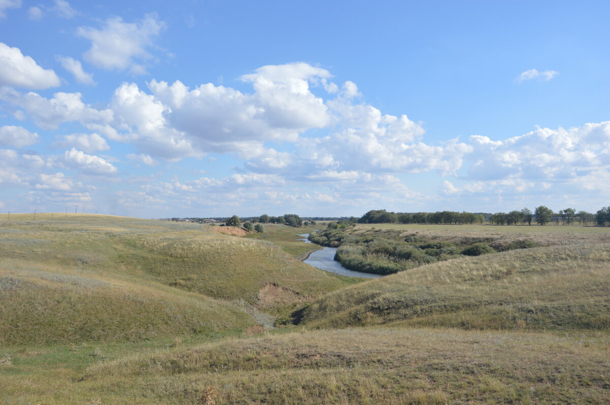 Донская степь. - Виктор 