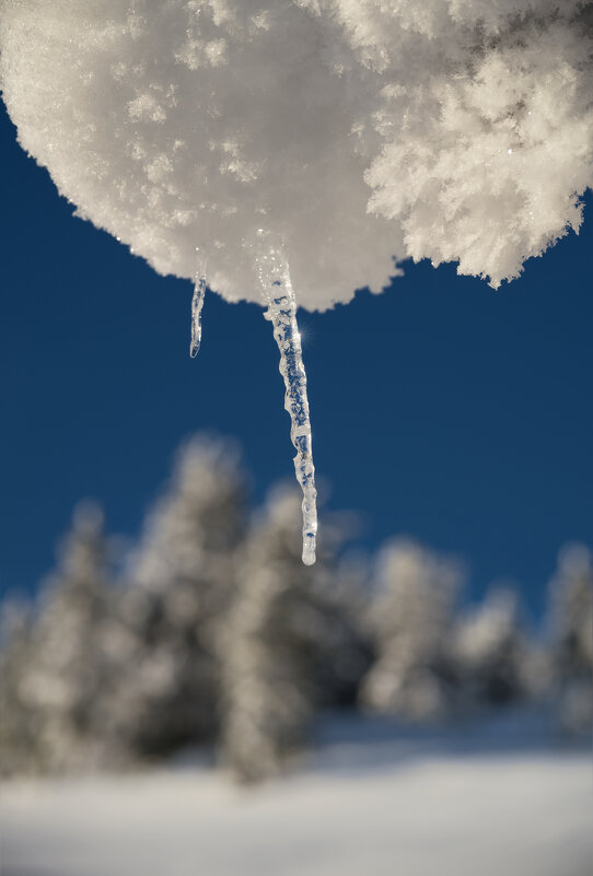 * - Александр Иванов