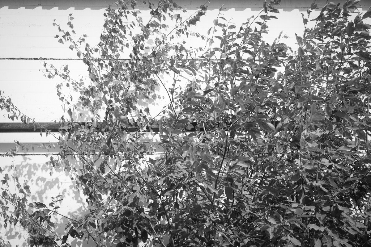 Название отсутствует - Денис Безногов