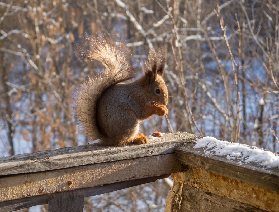 ___ - Yuriy V ___ - Yuriy V