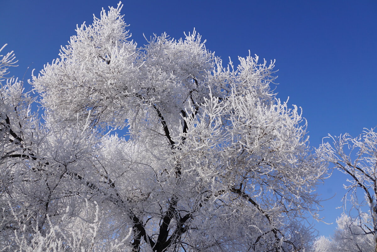 Припорошило - Наталия Григорьева