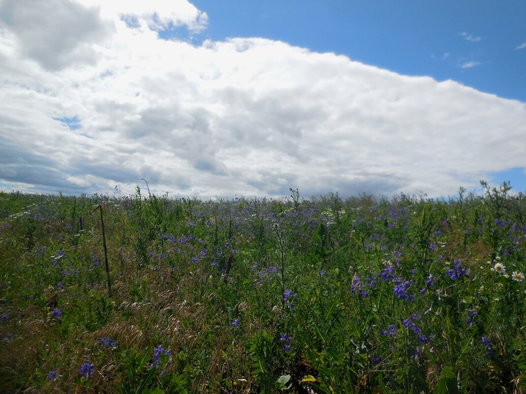 Небеса и луга - Надежда Небеса и луга - Надежда