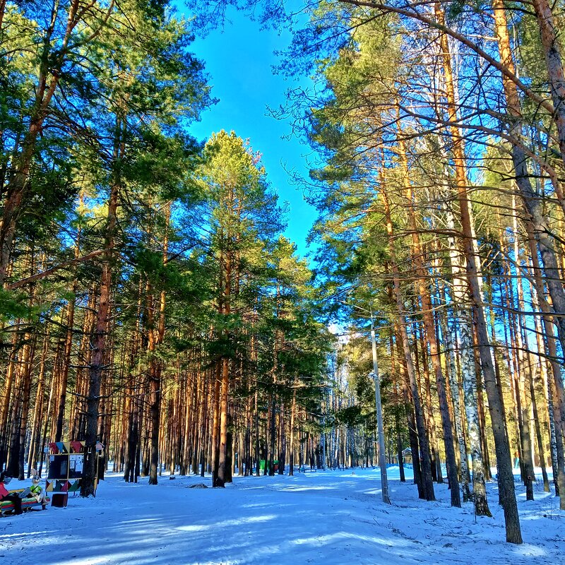 природа - Владимир природа - Владимир