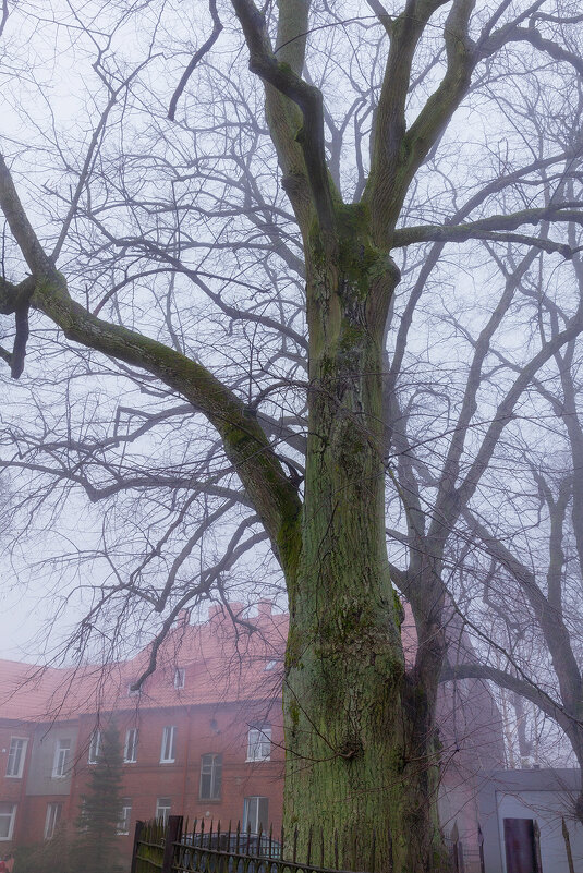 утро - Denis Doroshenko