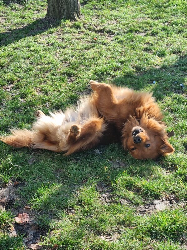 И польза, и удовольствие! :) - Наталья И польза, и удовольствие! :) - Наталья