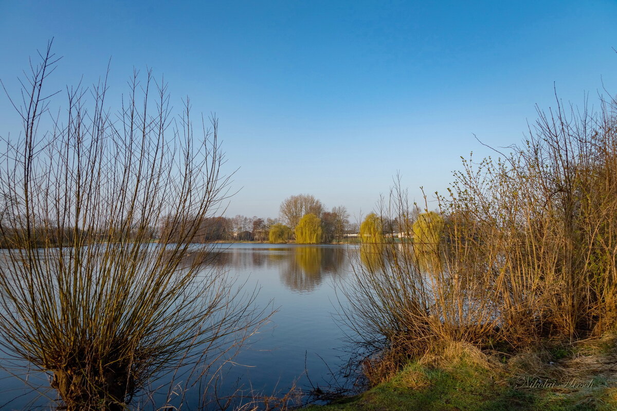 У озера... - Николай Гирш