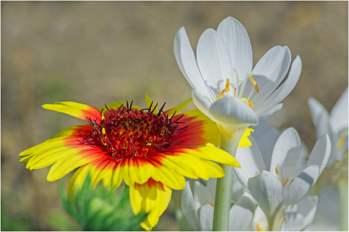 Четвёртое сентября - Валентин Котляров Четвёртое сентября - Валентин Котляров