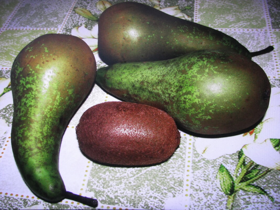 Витамины - Людмила Смородинская