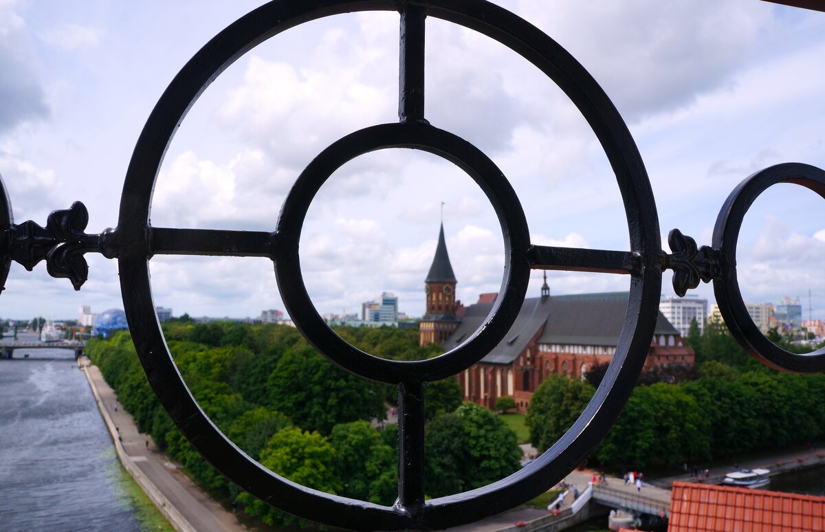 Фокус внимания..... - Алёна Савина Фокус внимания..... - Алёна Савина