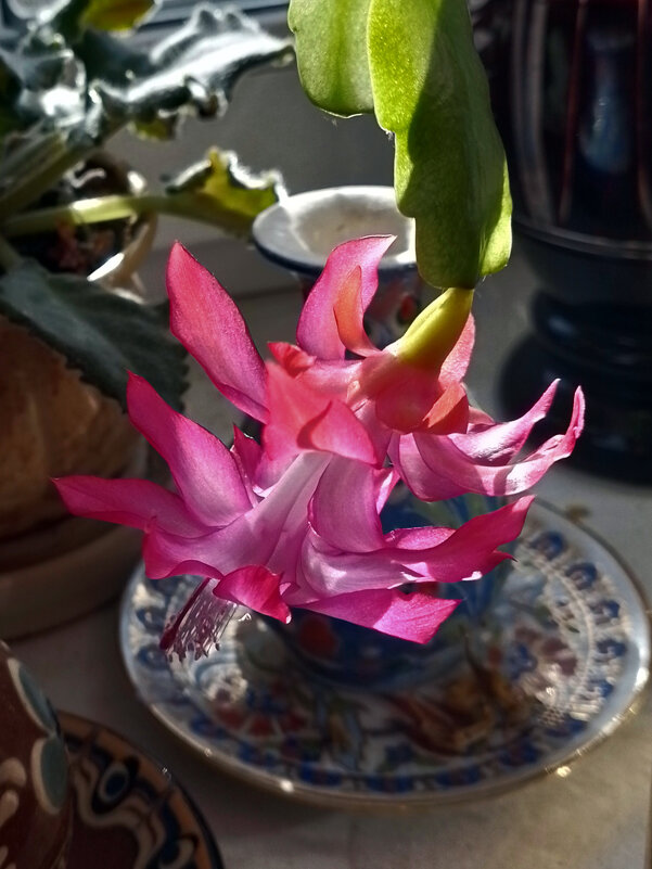 *** - Валентина Береснева *** - Валентина Береснева