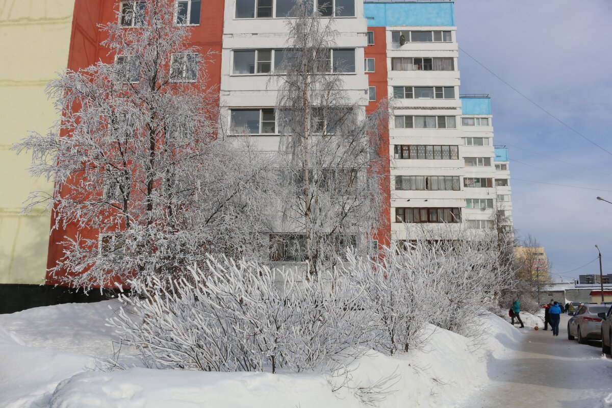 Зимний город - Ольга 