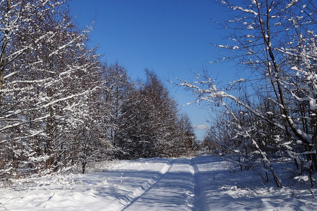 В окрестностях Калининграда - Рита Симонова