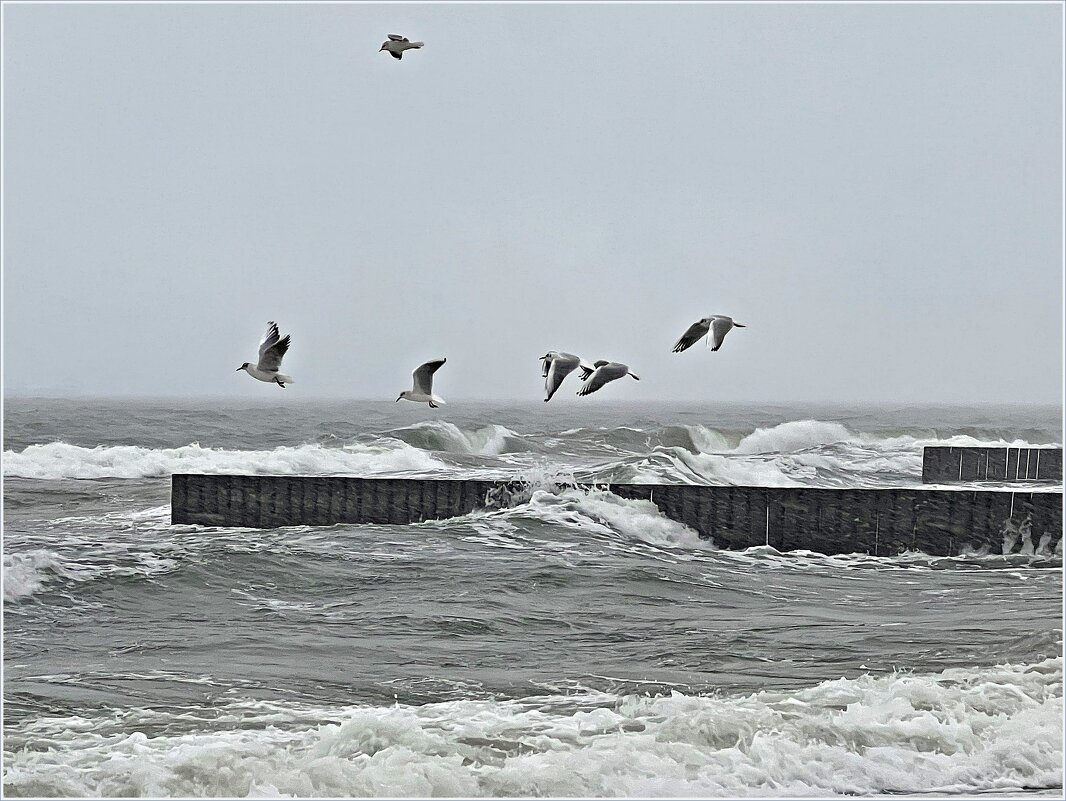 Непогода не Балтике. - Валерия Комова Непогода не Балтике. - Валерия Комова