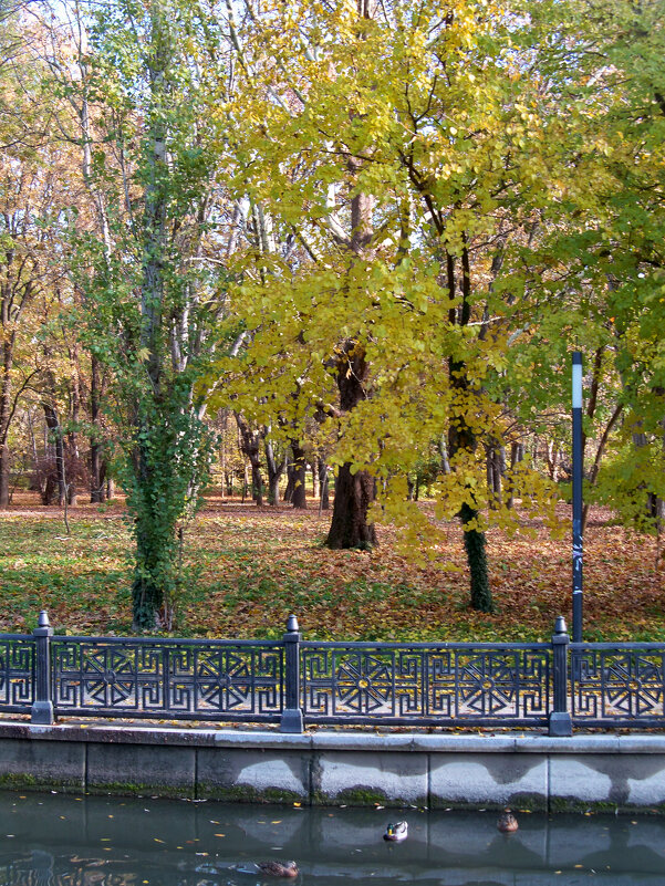 Осень золотая - Валентин Семчишин Осень золотая - Валентин Семчишин