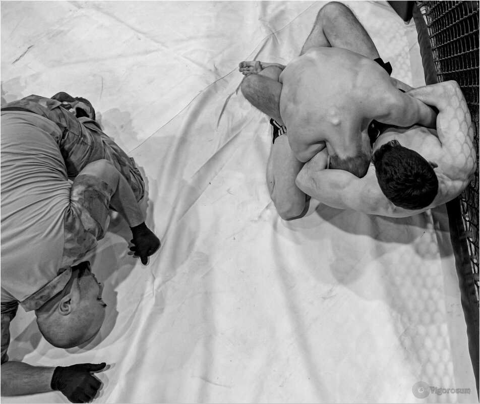 Турнир по уличным боям - Игорь Волков Турнир по уличным боям - Игорь Волков