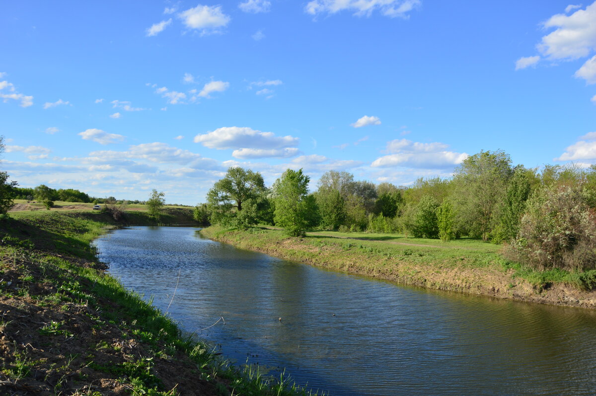 Местная река. - Виктор 
