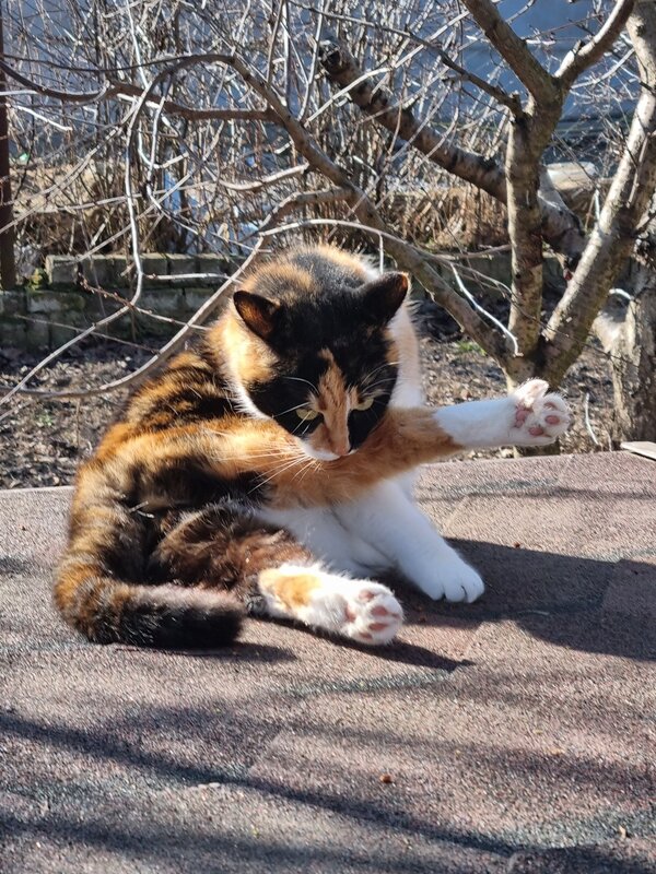 Потеплело... - Наталья 