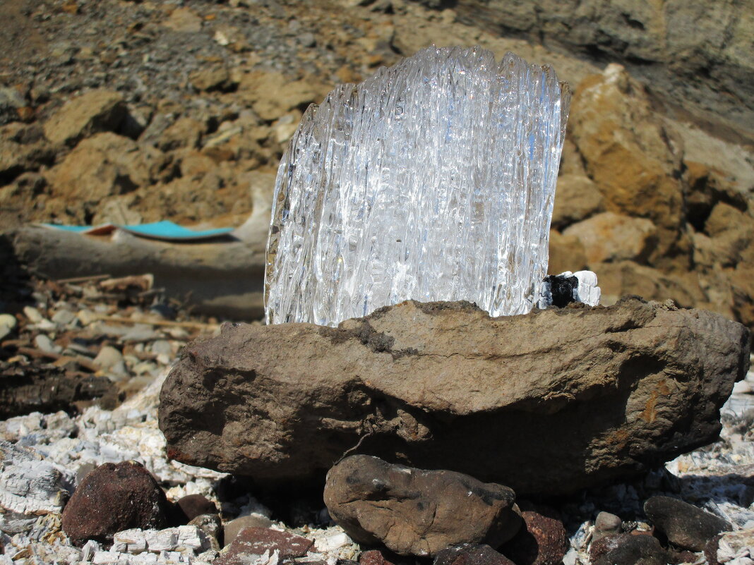 март - Елена Шаламова